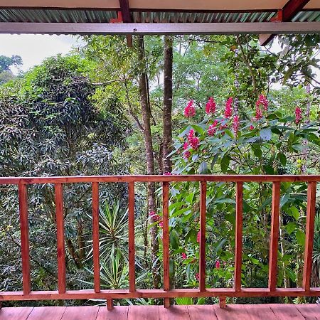 Princesa De La Luna Ecolodge ラ・フォルトゥナ エクステリア 写真
