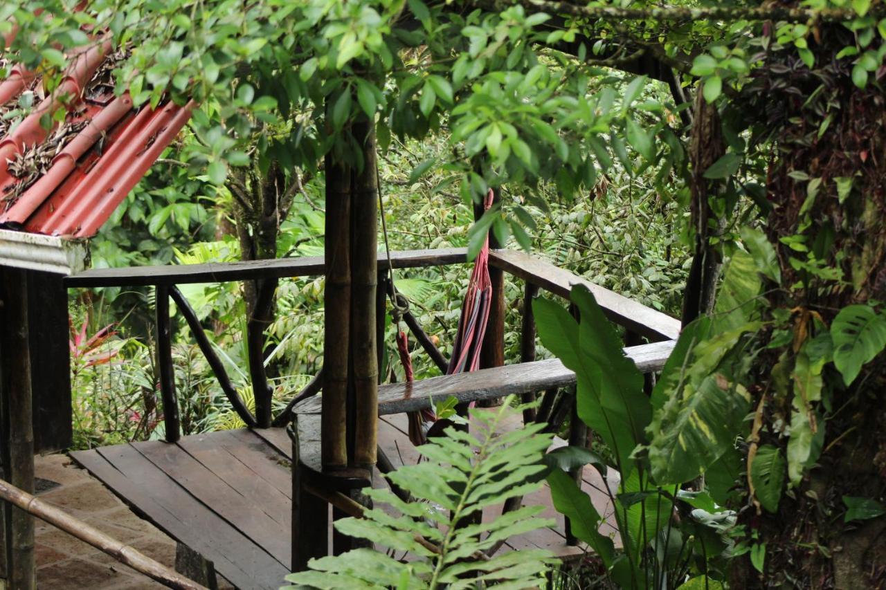 Princesa De La Luna Ecolodge ラ・フォルトゥナ エクステリア 写真