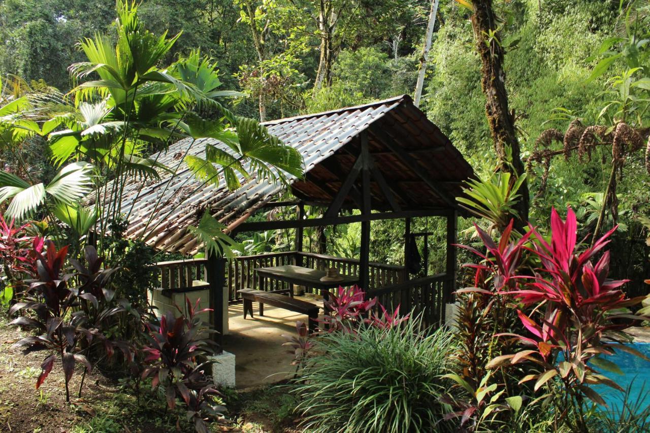 Princesa De La Luna Ecolodge ラ・フォルトゥナ エクステリア 写真