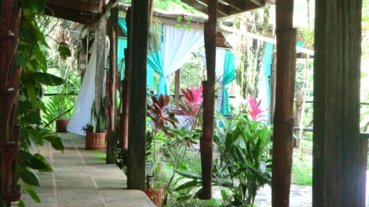 Princesa De La Luna Ecolodge ラ・フォルトゥナ エクステリア 写真
